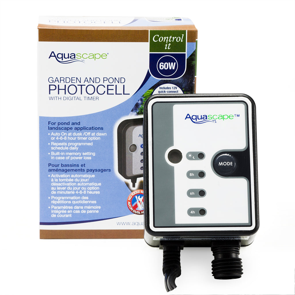 Photocell clearance timer switch