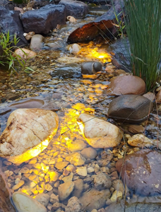pond and garden lighting in a natural garden stream ecosystem pond