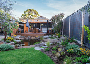 What is an ecosystem pond with Ben Hutchinson Landscapes low maintenance pond in an australian native garden in Footscray Melbourne