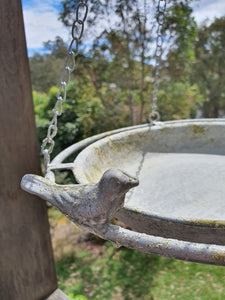 Bird feeder bird bath moss zinc close up bird