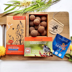 Native seed Box Australian native seeds seedbomb pollinator wildflower