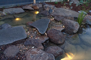 Natural pond lighting in wetland and recreation pond Aquascape pond and garden lighting