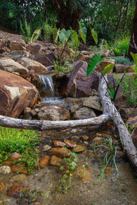 Image of a mini waterfall flowing into a beautiful rocky pond.