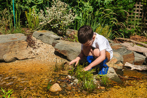 Image of a child playing with plants on the edge of a garden pond.
