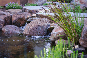 Image of a rocky edge of a garden pond.