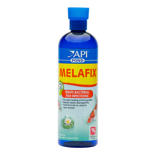 API Pond Melafix fish remedy acts as an all-natural, antibacterial remedy for koi and goldfish diseases. API Pond Melafix 473ml bottle.
